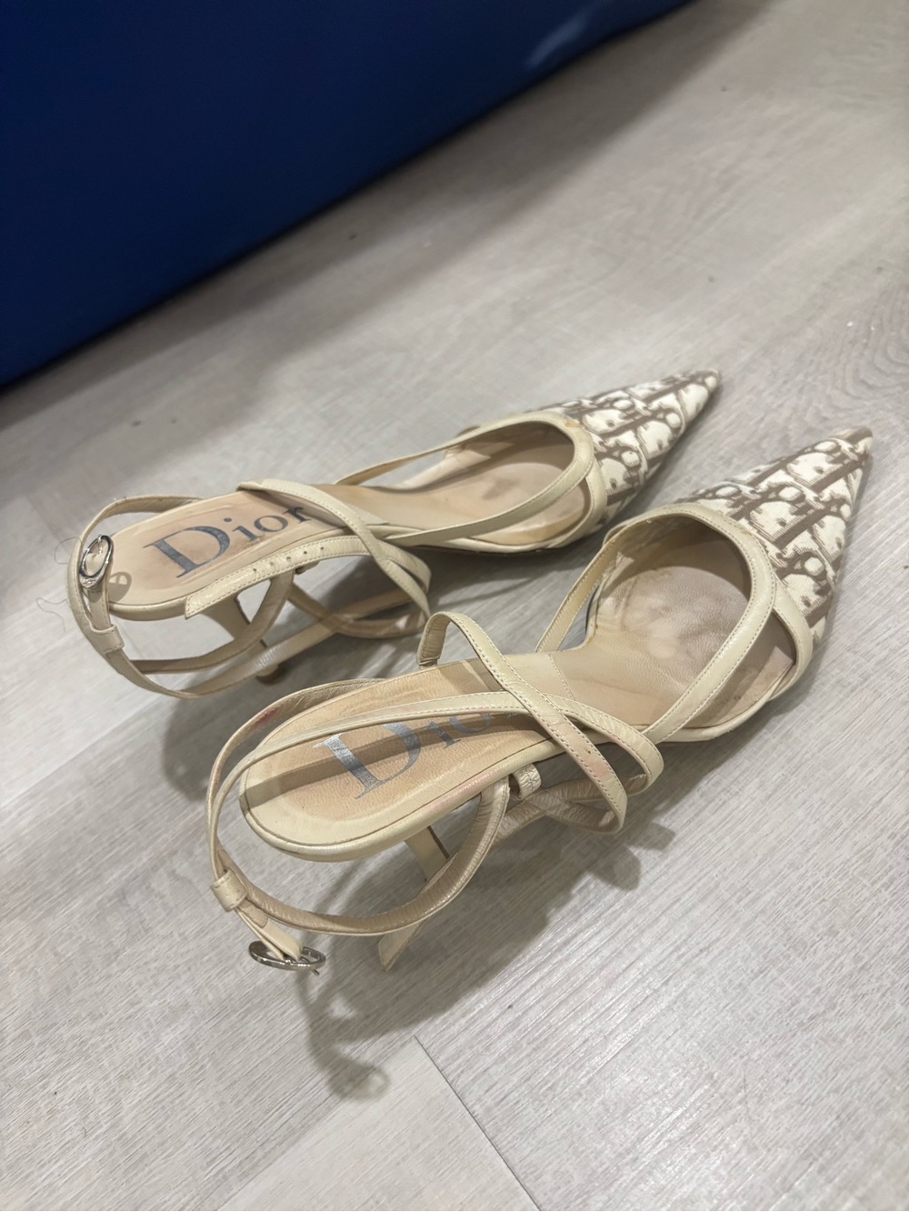Dior Beige Monogram Pointed Slingback Heels